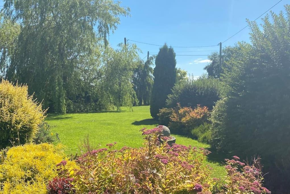 Adorable Cabin In The Countryside Laois Exterior foto