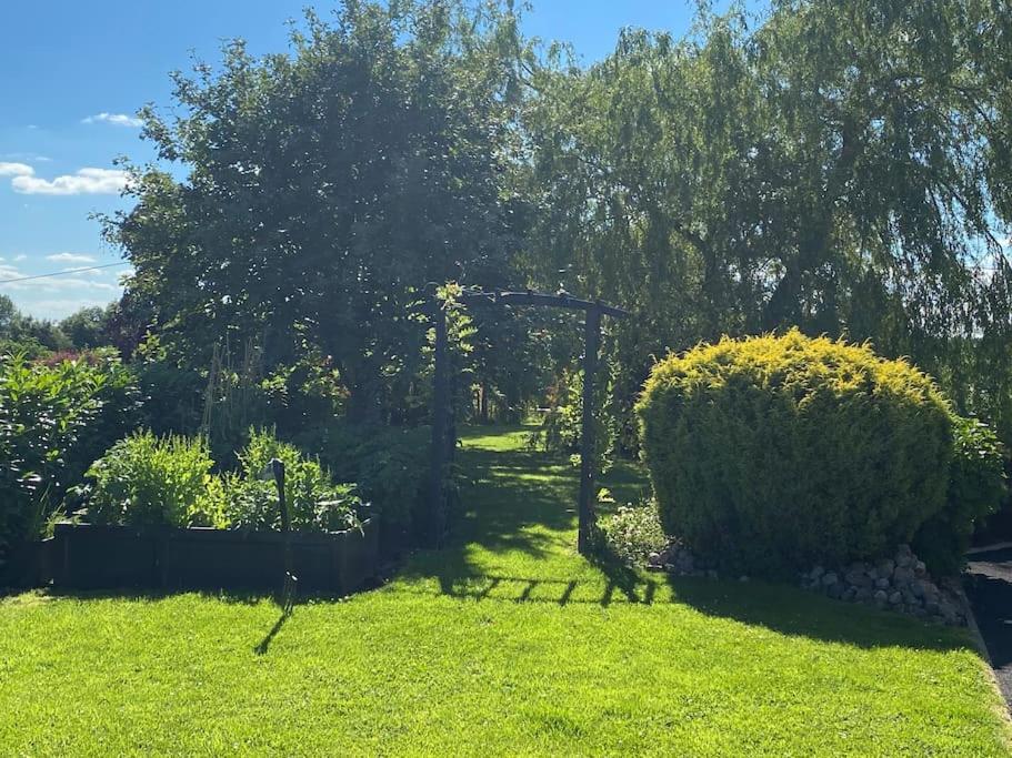 Adorable Cabin In The Countryside Laois Exterior foto