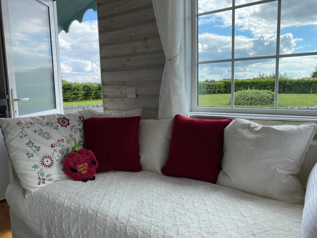 Adorable Cabin In The Countryside Laois Exterior foto